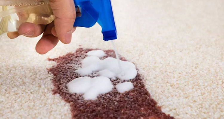 پاک کردن انواع لکه از روی فرش
