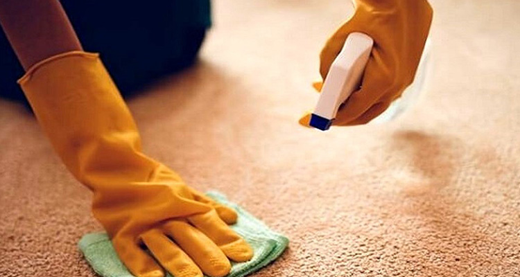 پاک کردن لکه چغندر از فرش